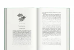 Ancient - Reviving the Woods That Made Britain by Luke Barley