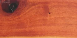 Brown Ivory