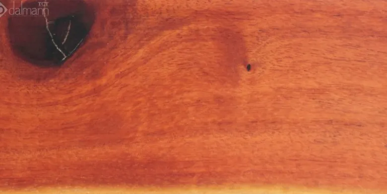 Brown Ivory