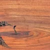 Kingfisher - Greetings Card