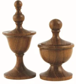 Knob Thorn