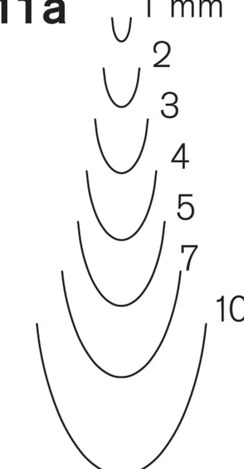 Pfeil Series 11a - Spoon Bent Gouge