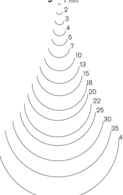 Pfeil Straight Gouge - Series 9