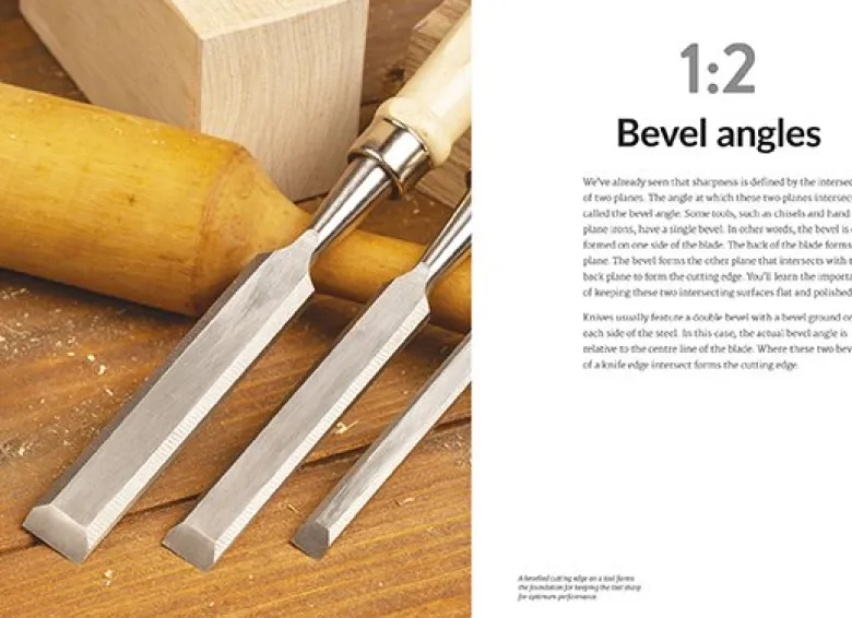Sharpening - A Woodworker's Guide