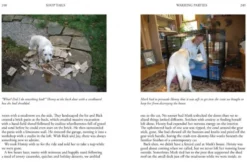Shop Tails: The Animals Who Help Us Make Things Work