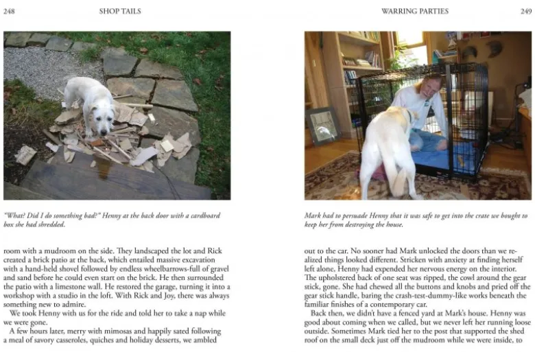 Shop Tails: The Animals Who Help Us Make Things Work