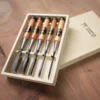 Temple Tool Co. Japanese Bench Chisel Set